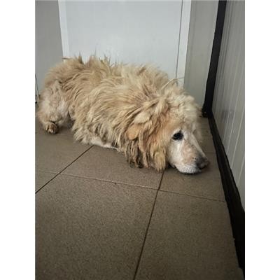 Unione dei Comuni della Garfagnana - 380260080259397