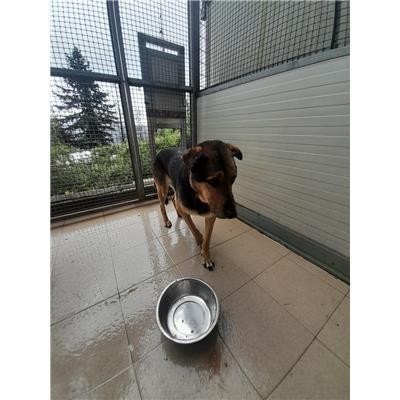 Comune Lerici - 380260100149253